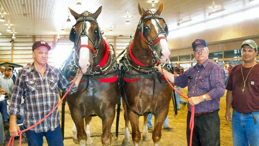 2010 02 Horse Pull Winner