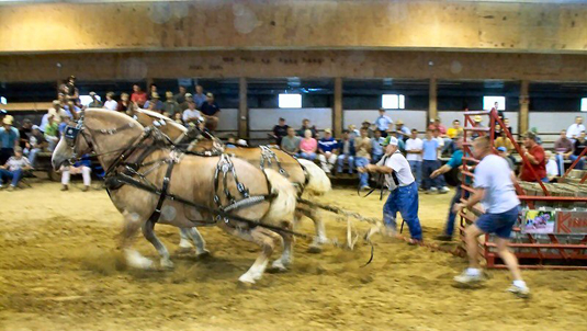 2010 05 Horse Pull