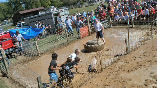 2010 10 Pig Wrestling