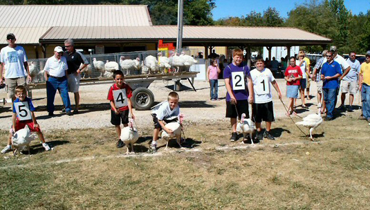 2010 15 Turkey Race Finalist