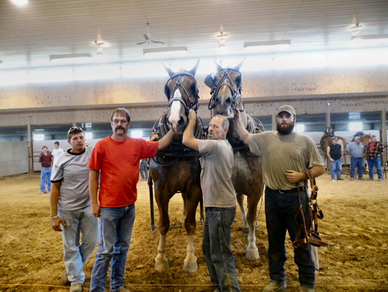 2012 08 Horse Pull