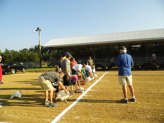 2014 00 Turkey Races