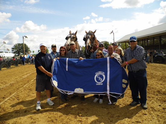 2015 03 Horse Pull