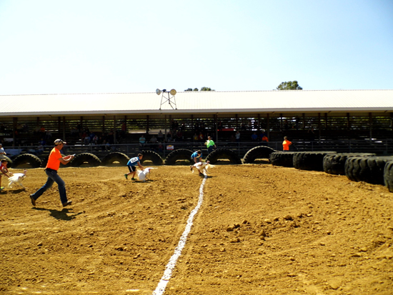 2017 04 Turkey Race Finish Line