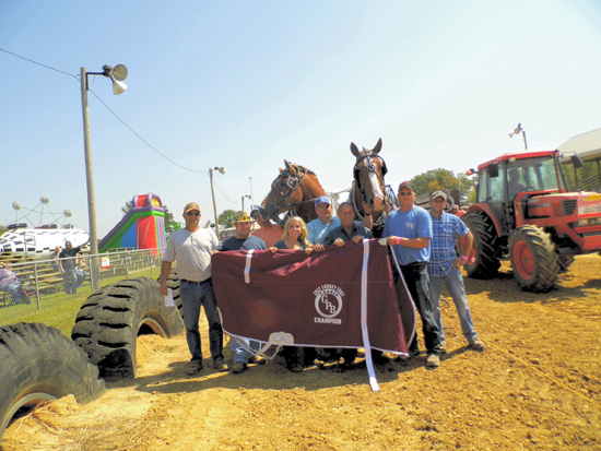 2017 10 Horse Pull